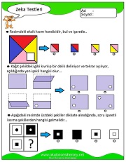 Zeka Gelişim Testleri